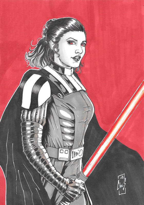 Dark Leia by Christophe Le Galliot - Original Illustration