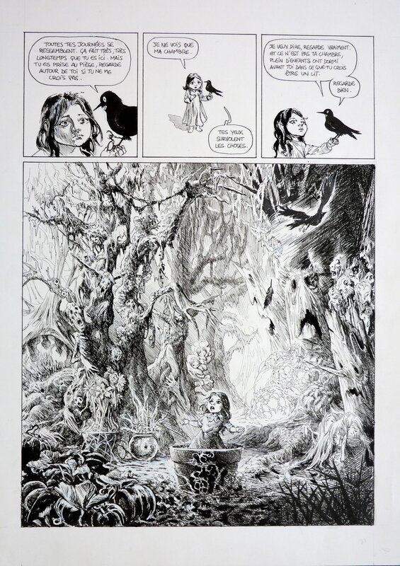 Coeur de glace par Patrick Pion - Planche originale