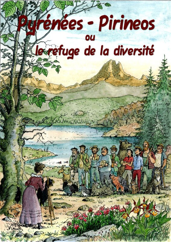 Jean-Pierre Deruelles, Henry Buestel, Pyrénées Pirineos, couverture - Original Cover