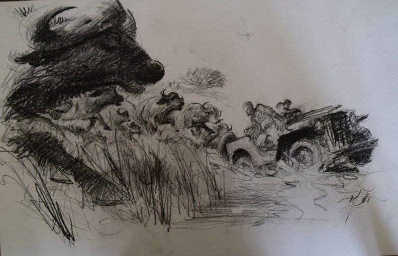 Buffle safari par René Follet - Illustration originale