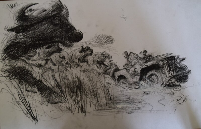 Safari Buffle by René Follet - Original Illustration