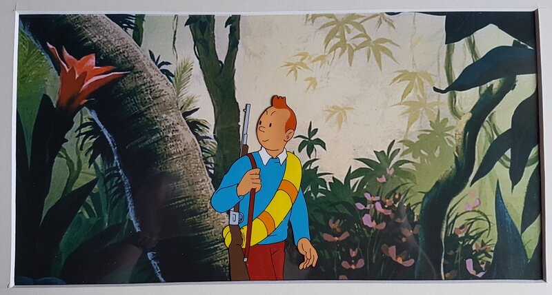 Studios Hergé, Hergé, Tintin - Celluloid de dessin animé en couleurs - Original Illustration