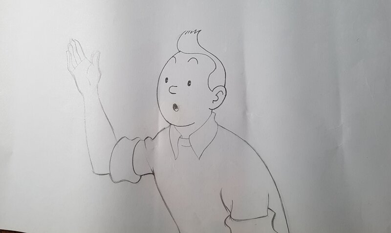 Studios Belvision, Hergé, Tintin - illustration Studios Belvision - crayonné - Comic Strip