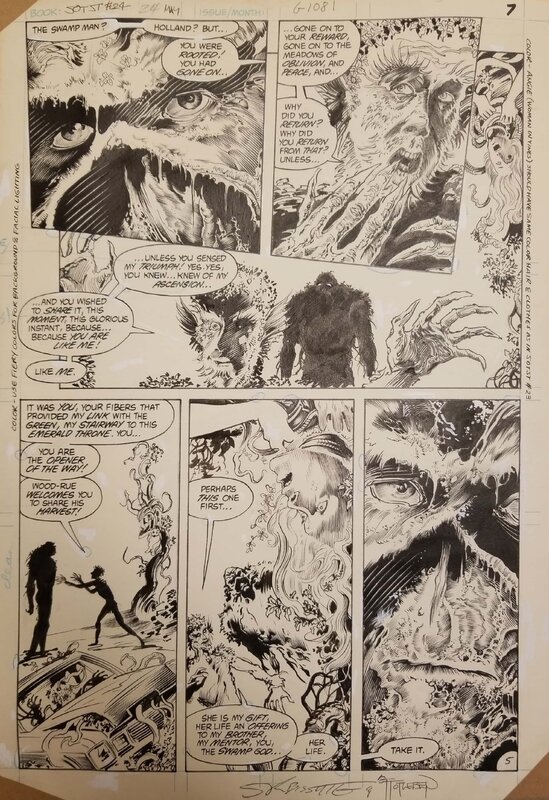 Stephen R. Bissette, John Totleben, Swamp Thing #24 p. 05 - Œuvre originale