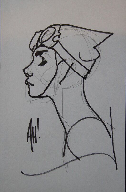 Catwoman by Adam Hughes - Sketch