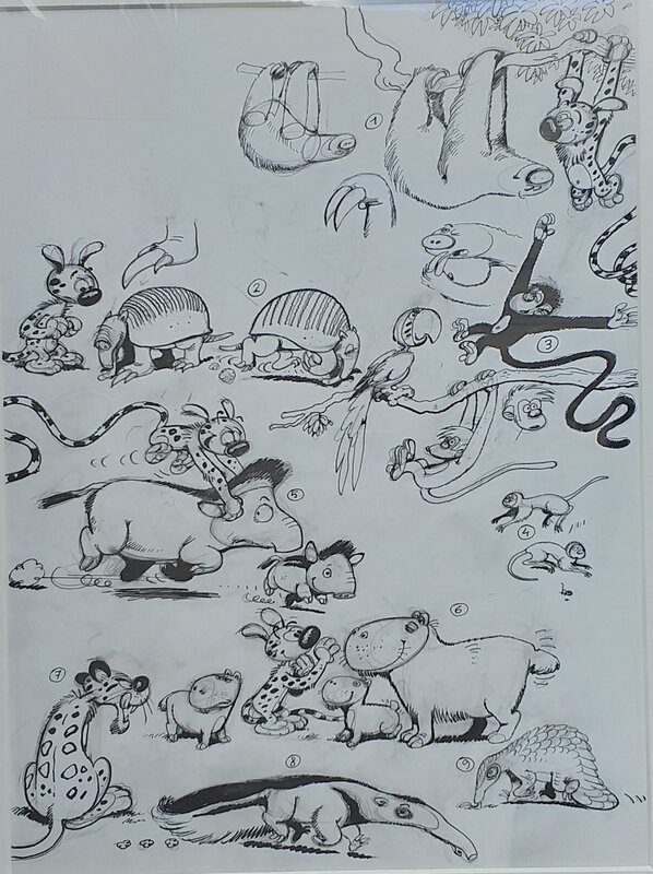 Marc Wasterlain, André Franquin, Model sheet pour un projet de dessin animé du marsupilami - années '80 - Original art