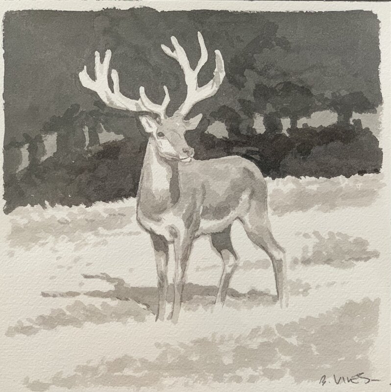 Illustration Cerf by Bastien Vivès - Original Illustration