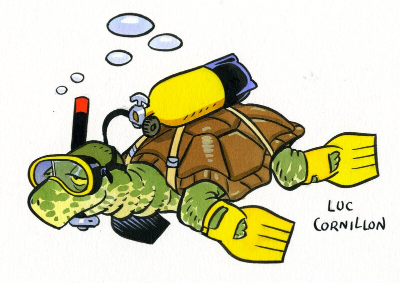 Tortue Marine par Luc Cornillon - Illustration originale