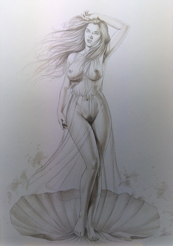 Cosimo Ferri, Illustration - Aphrodite - Illustration originale