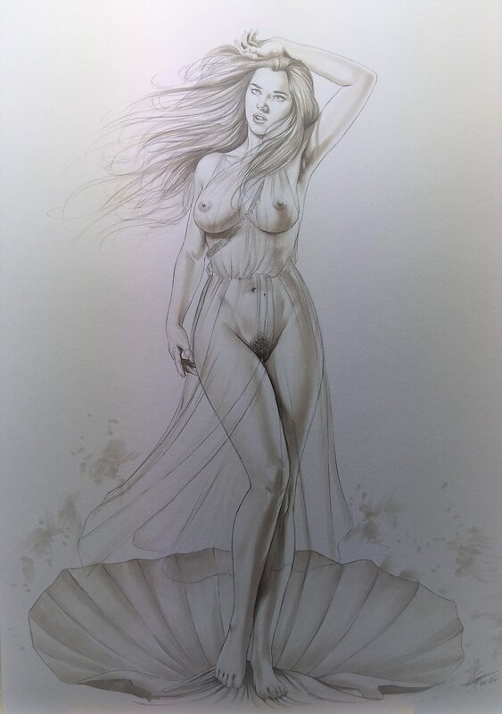 Cosimo Ferri, Illustration - Aphrodite - Original Illustration