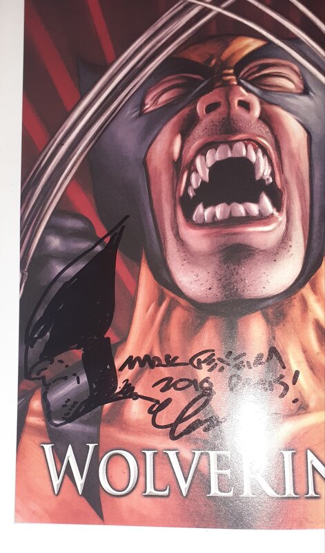 Wolverine 1 by Mark Texeira - Sketch