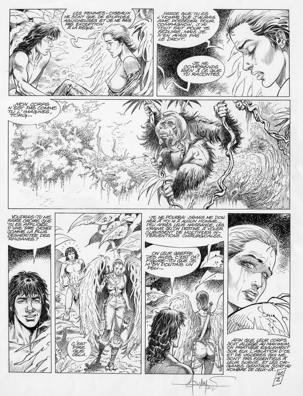 Mohamed Aouamri, Sylve - Tome 2 - Page 40 - Planche originale