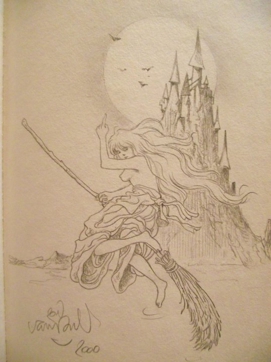 Witch par Ron Van Riet - Illustration originale