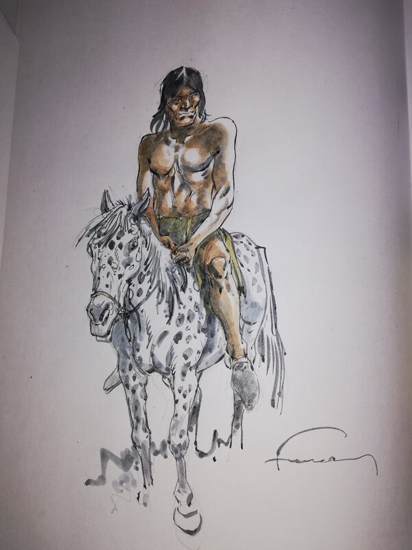 Comanche by Hermann - Comic Strip