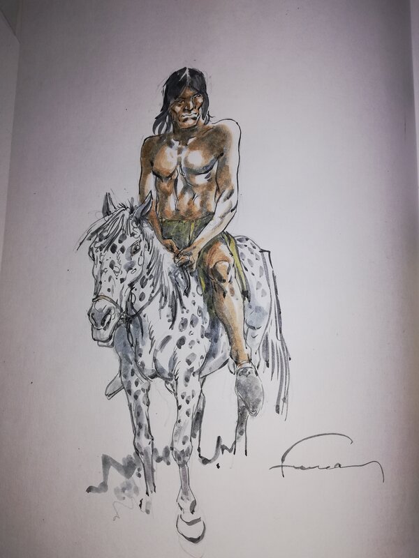 Comanche par Hermann - Planche originale