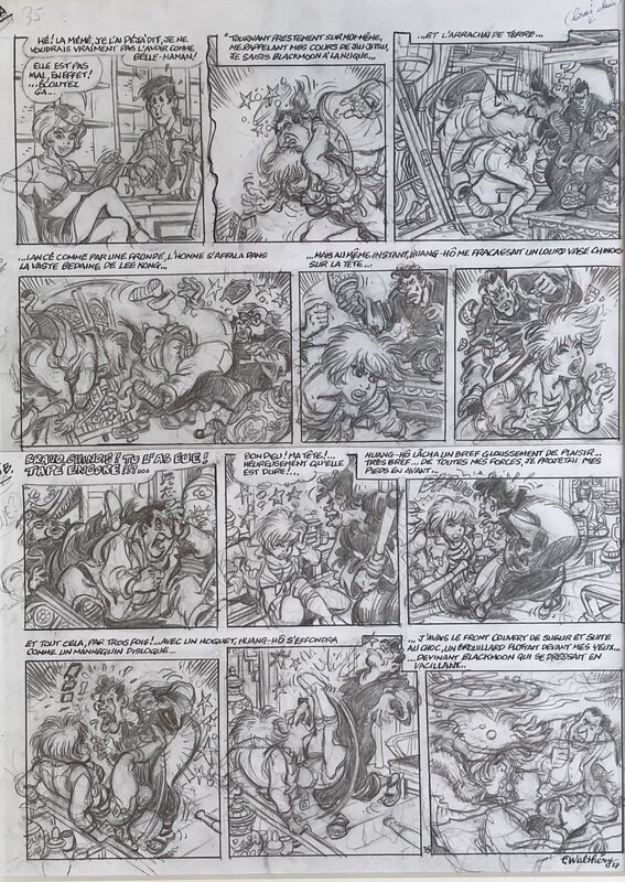 François Walthéry, Sirius, Natacha - T.23 - Sur les traces de l'épervier bleu - pl.35 - Comic Strip