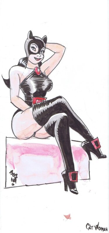 Catwoman par Bernet - Original Illustration