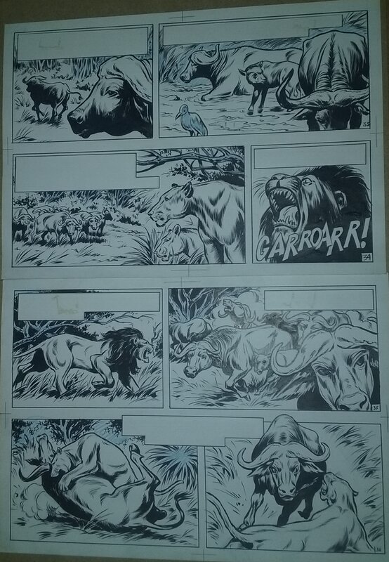 Karel Biddeloo, Willy Vandersteen, Safari: De Buffeljacht Pagina 5 - Comic Strip