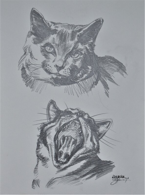 Chats by Gwendal Lemercier - Comic Strip