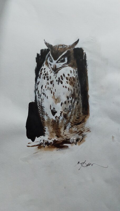 Hibou par René Follet - Illustration originale