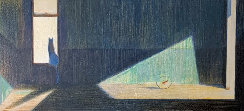 Chat Lumière by Andrea Serio - Original Illustration