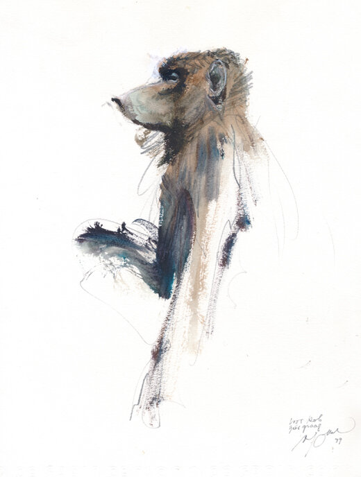 René Follet | 1999 | Babouin - Original Illustration