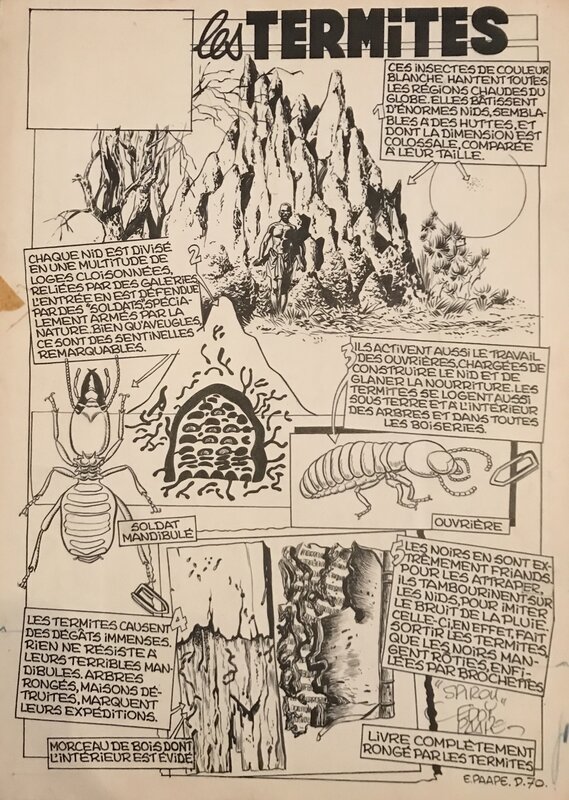 Eddy Paape, Les Termites - Spirou - Comic Strip