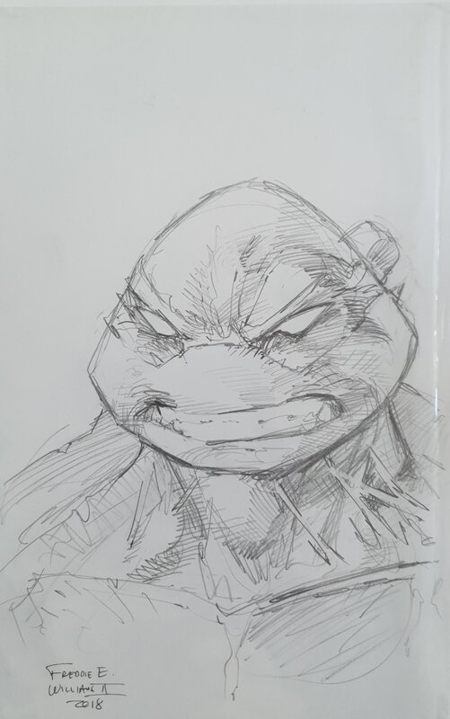 Raphael - TMNT by Freddie E. Williams II - Sketch