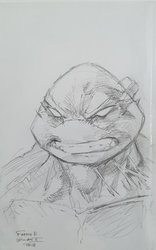 Raphael - TMNT par Freddie E. Williams II - Dédicace