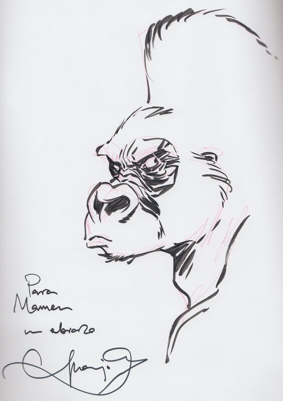Gorille by Juanjo Guarnido - Sketch