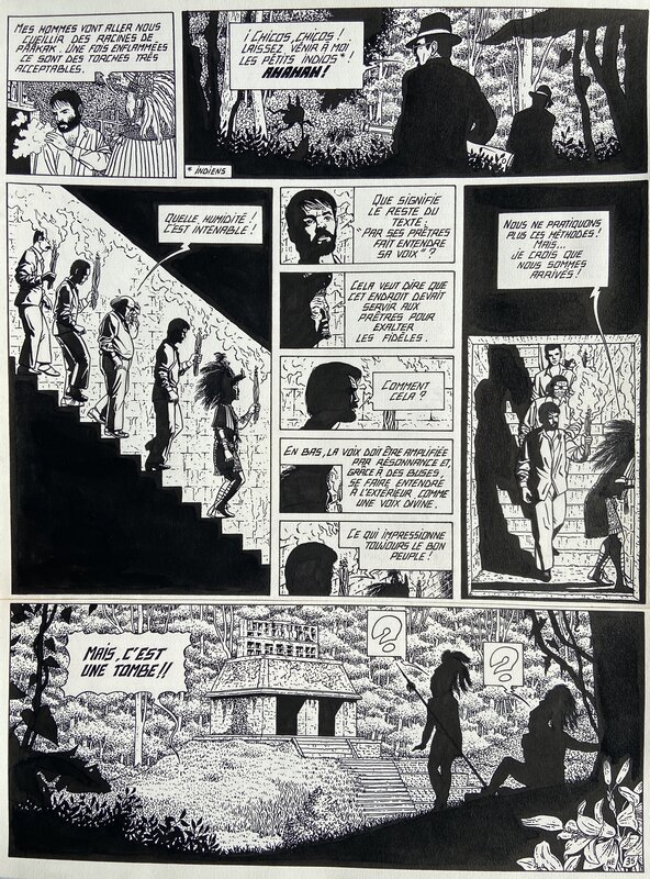 Le testament du dieu Chac by Dominique Hé - Comic Strip