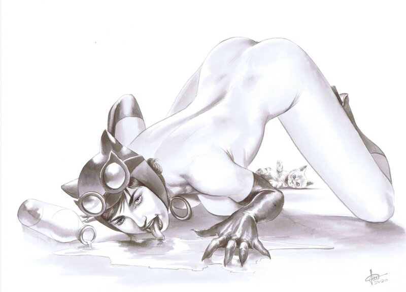 Catwoman : Mais qui a fait tomber le lait ? par Ferri - Illustration originale