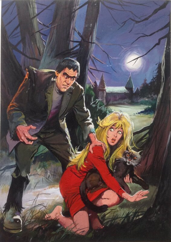 For sale - unknown, Unknow Couverture Originale HALLUCINATIONS N°20 Frankenstein Pin up Chat Nuit Angoisse ,Petit Format Arédit 1972 - Original Cover