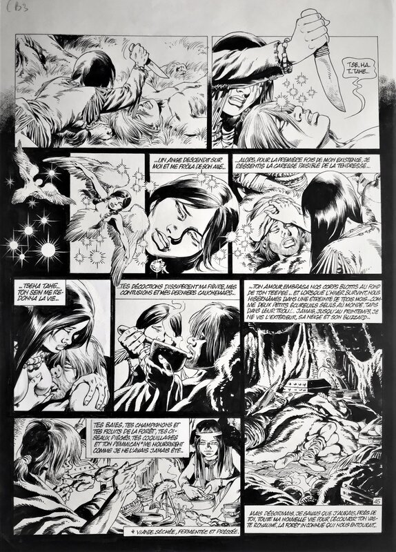 Jean-Yves Mitton, Chroniques Barbares tome 3 L'odyssée des vikings pl 45 - Comic Strip