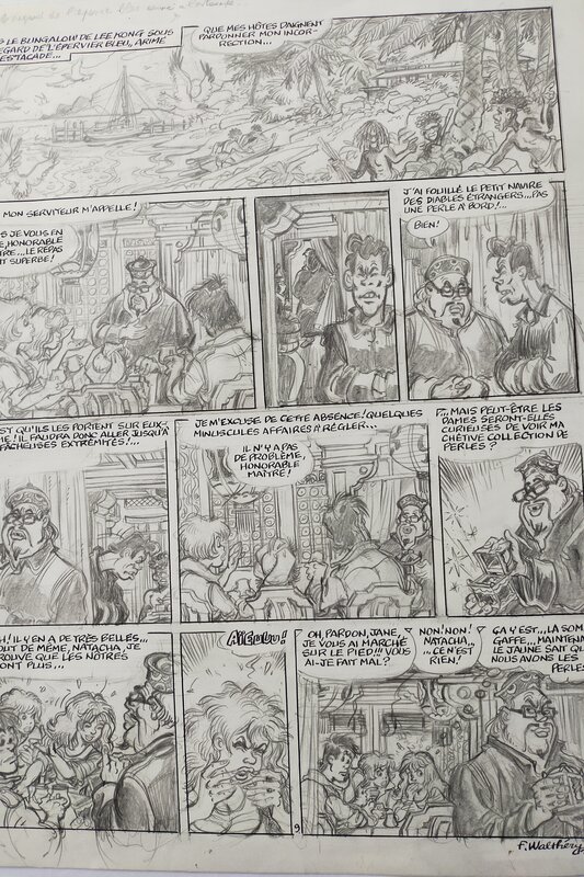 François Walthéry, Surbles traces de l'Epervier Bleu. Pl. 9 - Comic Strip