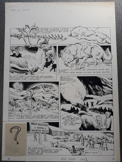 Ayak, le loup blanc by Eduardo Coelho, Jean Ollivier - Comic Strip