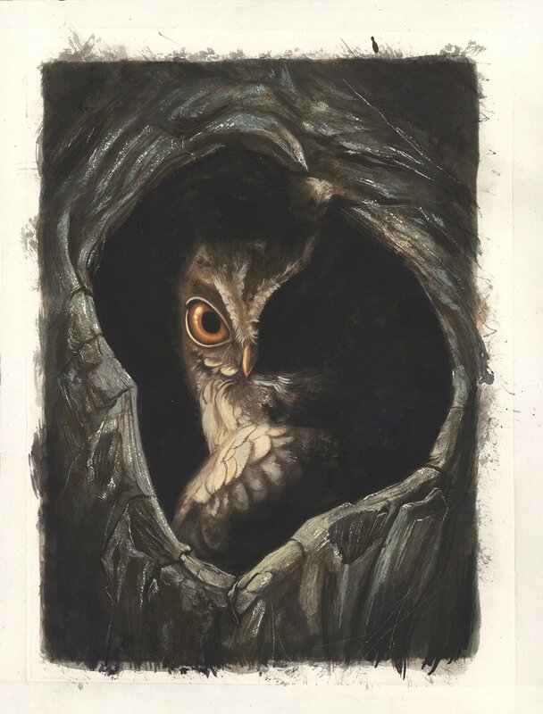 Hibou « Bambi » par Benjamin Lacombe - Illustration originale