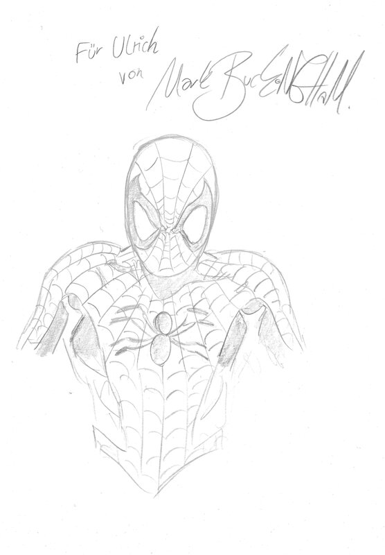 Spider-Man by Mark Buckingham - Sketch