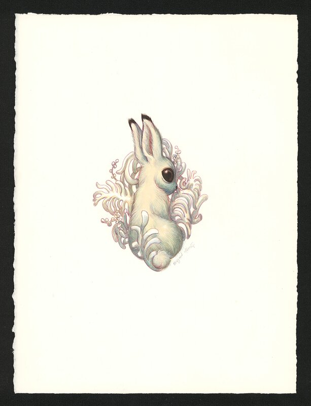 Illustration Bambi by Benjamin Lacombe - Original Illustration