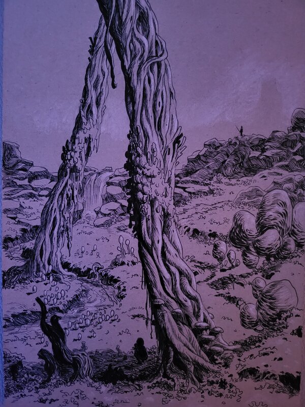 Three by Stephan Louwes - Comic Strip