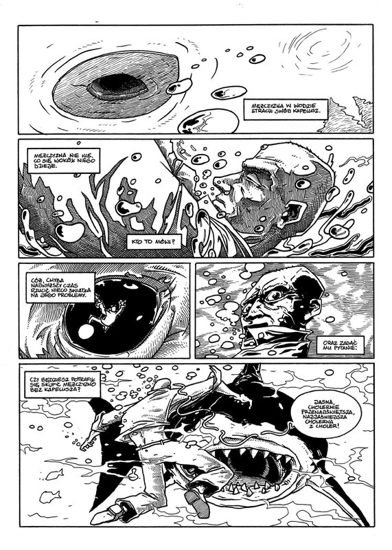 Marek Rudowski, Hubert Ronek, Dom żałoby 6 / Maison de deuil 6 - Comic Strip