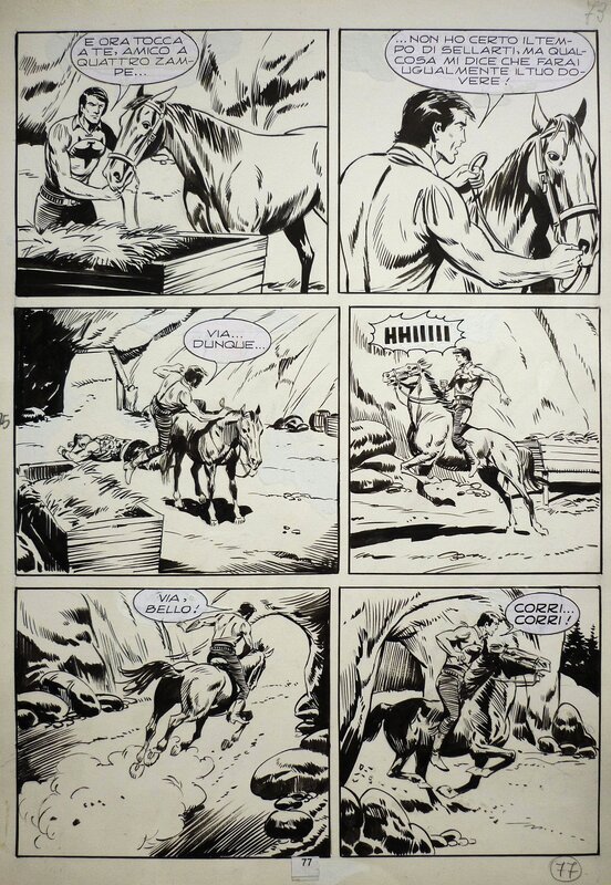 Zagor 128 pg 077 by Franco Donatelli - Planche originale