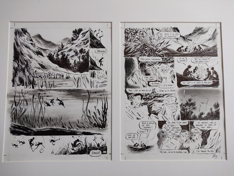 En vente - Pierre-Henry Gomont, Double planche 102-103 de Malaterre - Planche originale