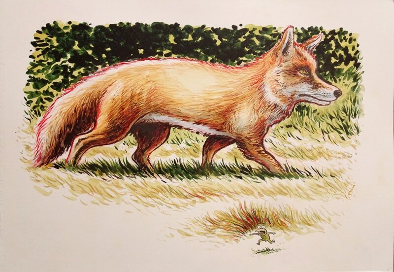 Phicil, Le renard et Rainette - Illustration originale