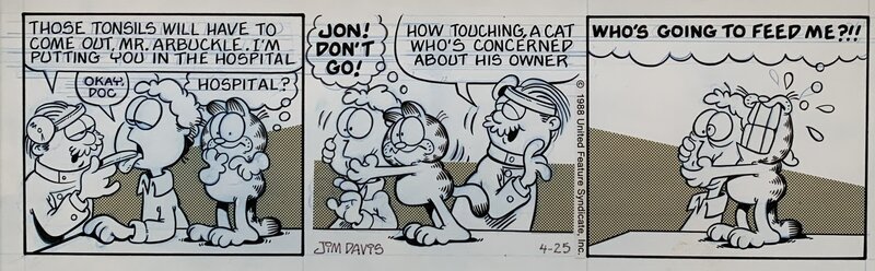 Jim Davis, Garfield 