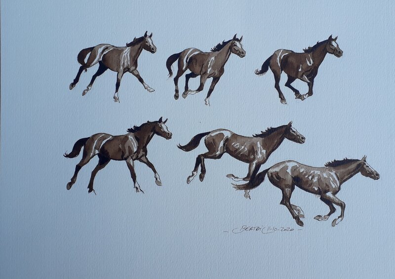 Chevaux au galop by Dominique Bertail - Original art