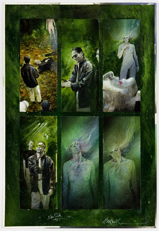 Black Orchid No. 3 par Dave McKean, Neil Gaiman - Planche originale