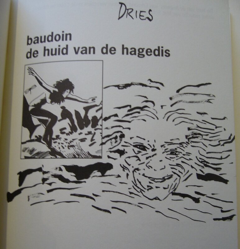 Baudoin Edmond - De huid van de hagedis - Dédicace