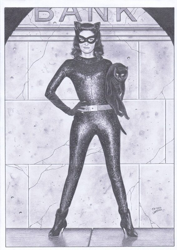 Catwoman par Grayson - Illustration originale