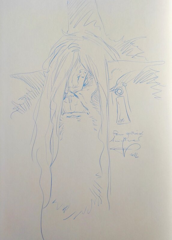 Philippe Pellet, Les forêts d'opale-T.9 Un flot de lumière - Sketch